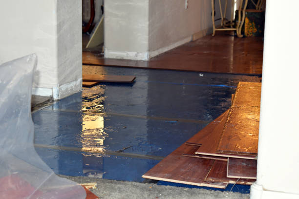 Professional Water Damage technician working in Wallis, TX
